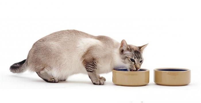 hranjenja mačaka s urolitijazom