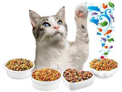 suché kočkové krmivo