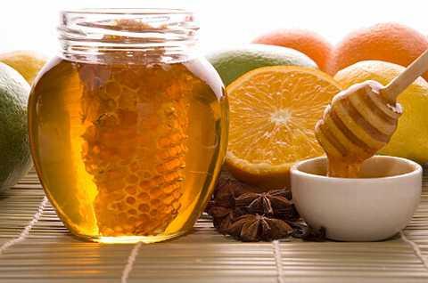vlastnosti medu