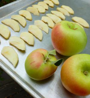 Замразявайте ябълките
