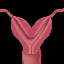 trattamento di ipoplasia uterina