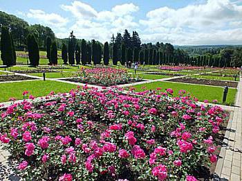 Dolina vrtnic v Kislovodsku, ko cvetijo