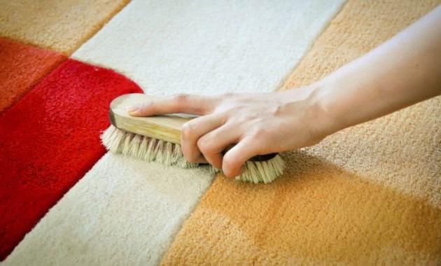 Svanisce per la pulizia manuale del tappeto