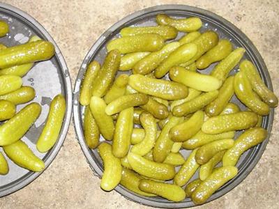 Najboljše sorte kumaric za dekapiranje
