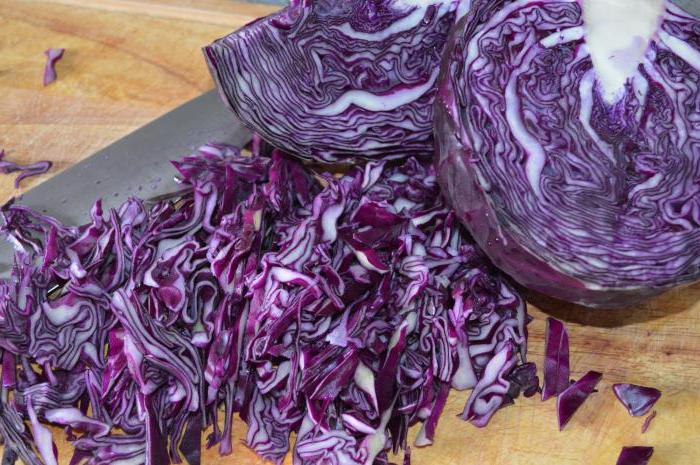 Новогодишни вегетариански салати рецепти със снимки