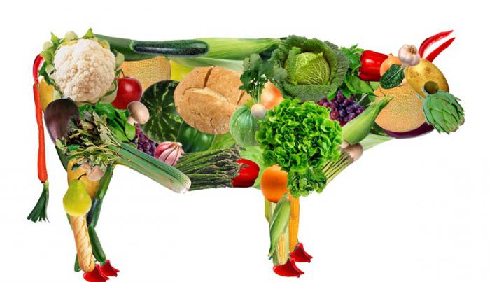 přechod k vegetariánství