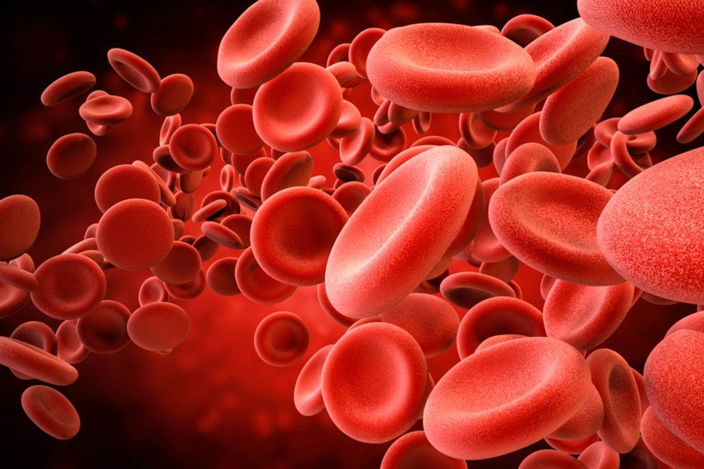 Differenze di sangue arterioso da venoso