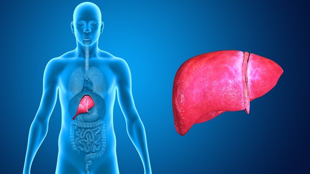 kako zdraviti jetra
