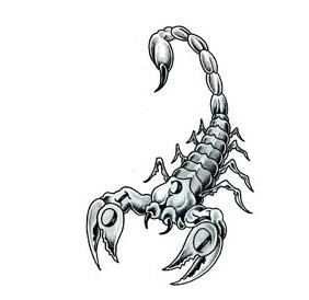 horoskop skorpion i dziewica