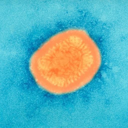 viry ne-buněčné formy života