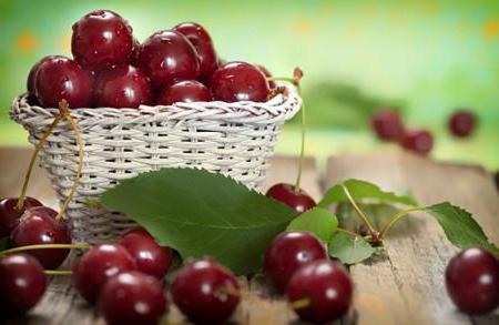 cherry odrůda Turgenev