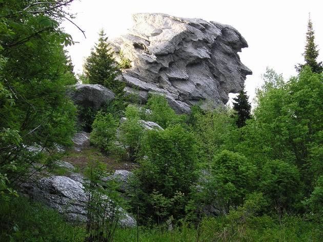 Planinski starac-kamen