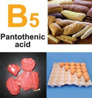 acido pantotenico