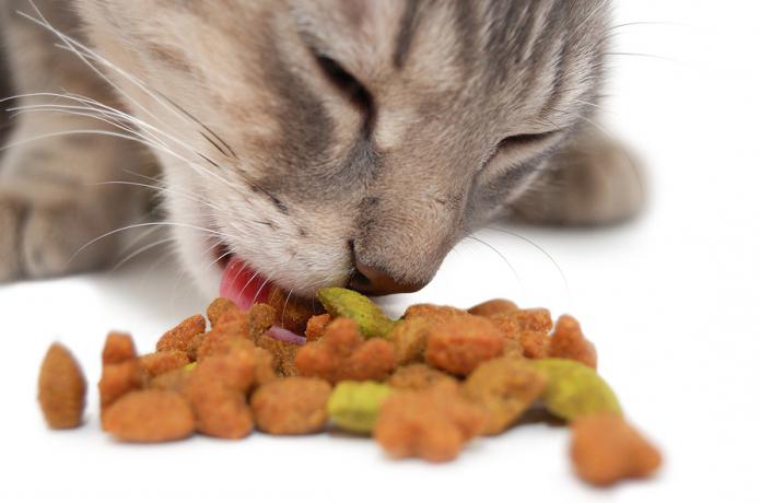 витамини за котки