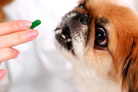 витамини canina за кучета
