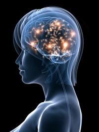 витамини за мозъка и паметта