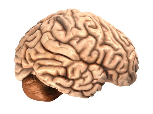 vitamíny pro paměť a funkci mozku pro dospělé