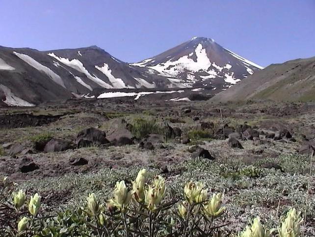 Авацхински вулкан на Камчатки зими