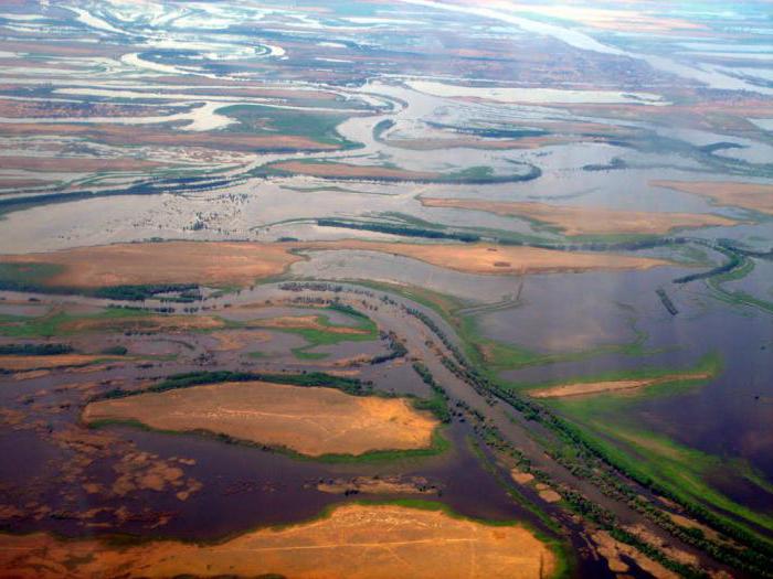 Delta rzeki Wołgi