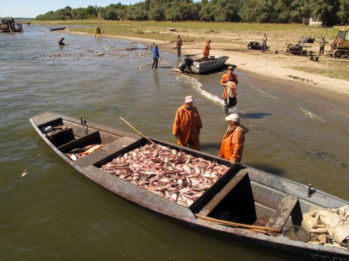 Rybářské základny v deltě Volhy