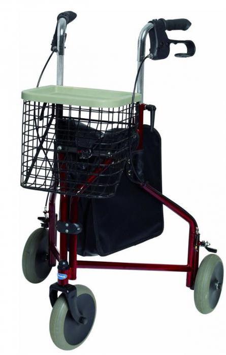 chodci pro osoby se zdravotním postižením a starší osoby