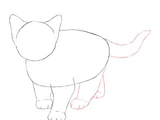 как да нарисувате котенца с молив