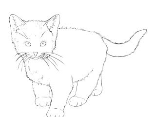 како нацртати маче