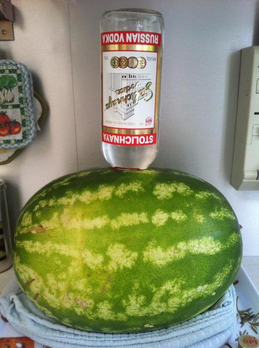 Jak napustit vodku do melounu?