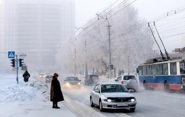 климат Новосибирск