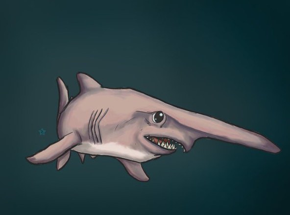 Žralok-sušenka