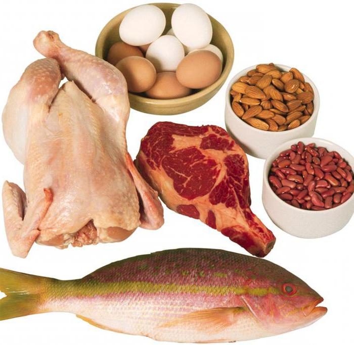 quali alimenti sono proteine ​​e carboidrati