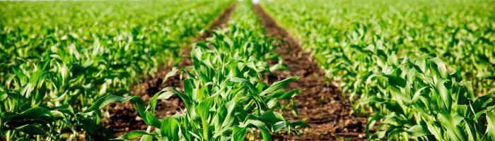 karakteristike agroklimatskih resursa