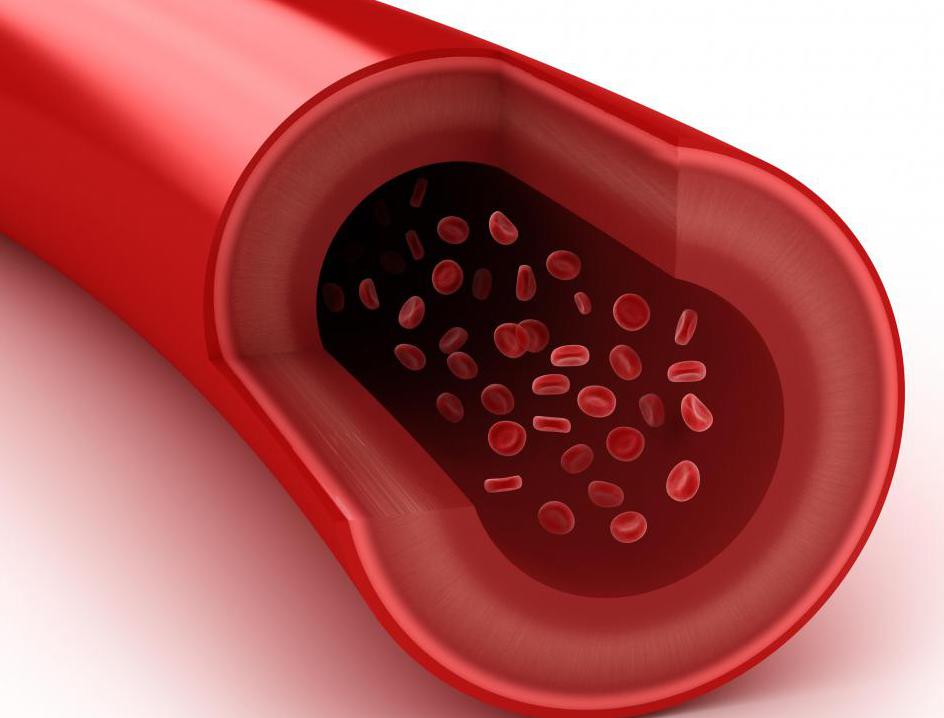 Arterijski protok krvi