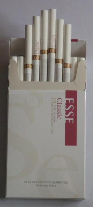 esej cigaret
