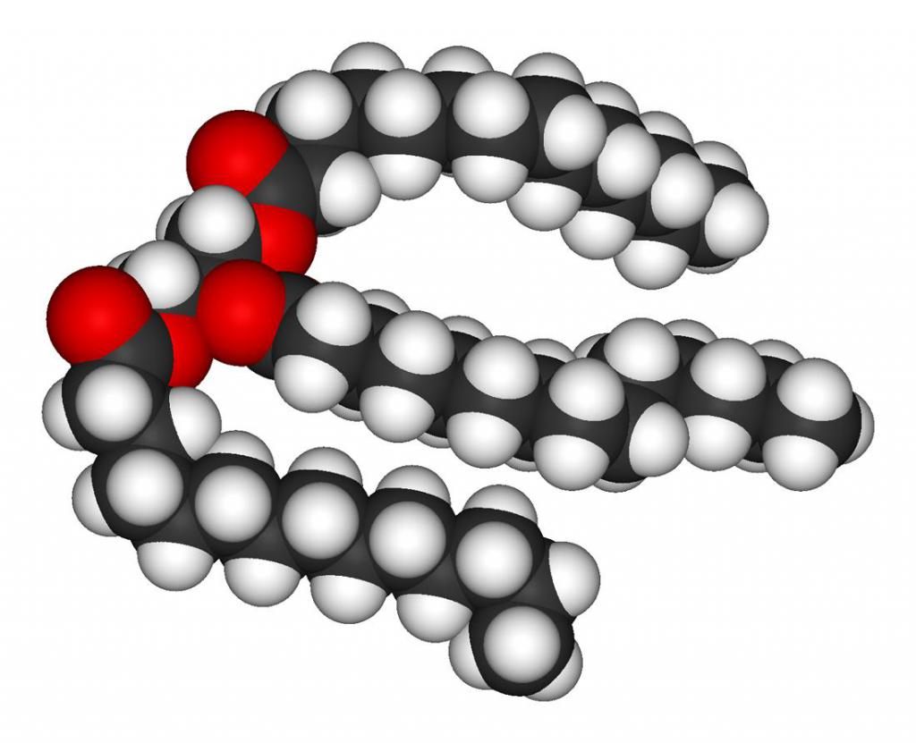Tuková molekula