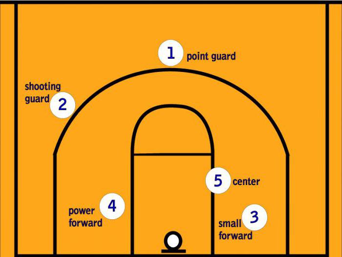 položaje v košarki in njihove pomene