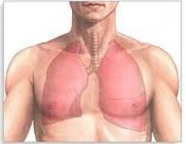 Objawy zapalenia płuc u dorosłych