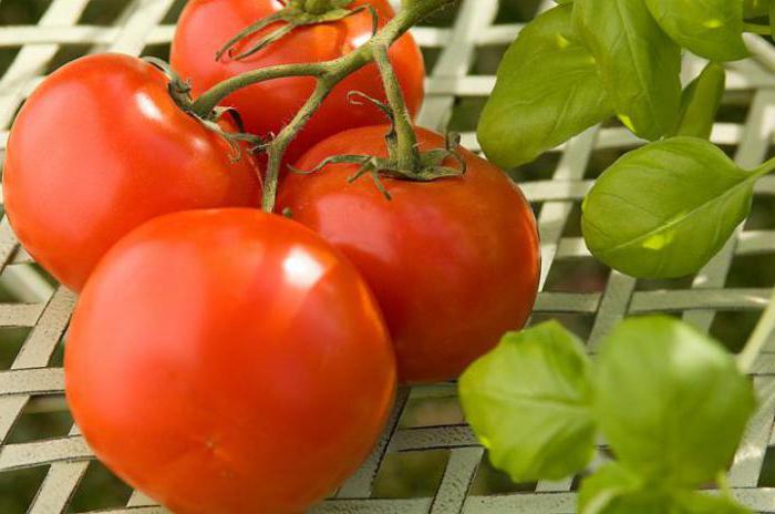 какви витамини в краставици и домати