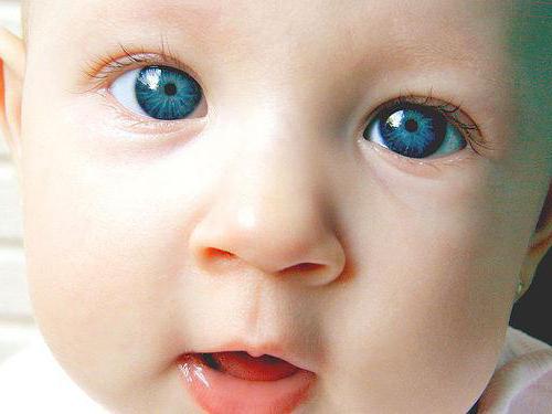 che colore ha gli occhi del bambino?