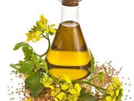 užitečné vlastnosti a kontraindikace řepkového oleje