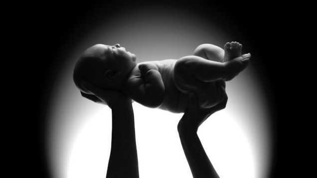 шта значи бити рођен у мајици