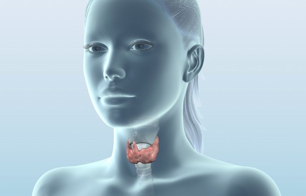 ecografia della trascrizione della tiroide. Ecogenicità