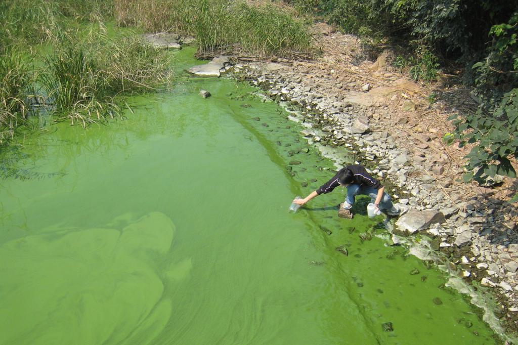Ichtiolog-ekolog analizuje skład wody