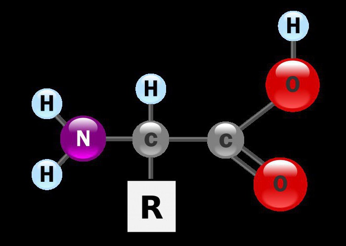 aminokyselinové vzorce a názvy