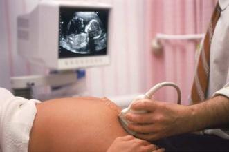 протокол ултразвук бременна