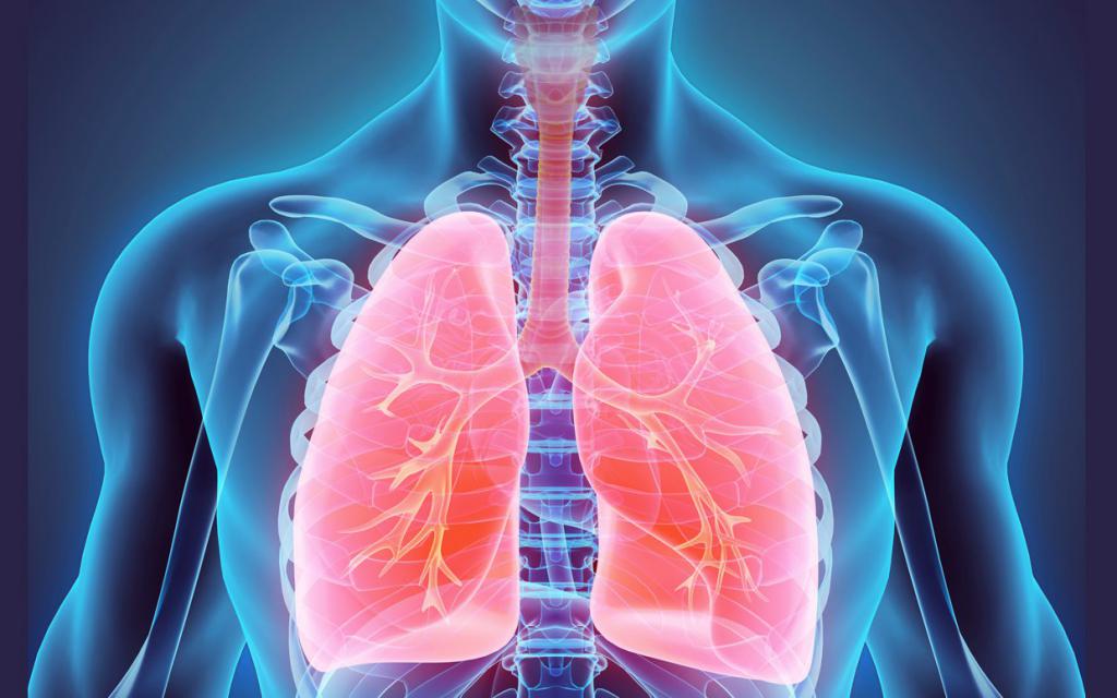 Što znači vezikularno disanje?