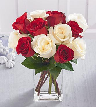 co oznaczają białe róże w języku kwiatów