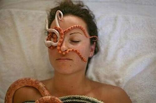 шта сања змија у сну уједа