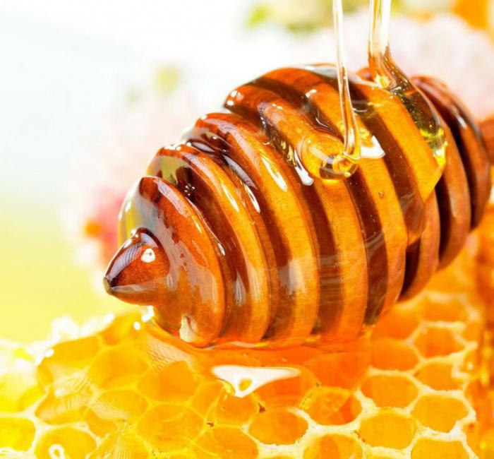 proč sen o včelách a medu