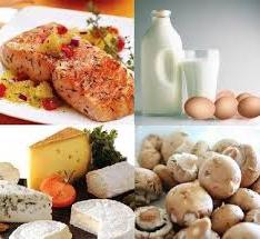 Какви храни съдържат витамин b